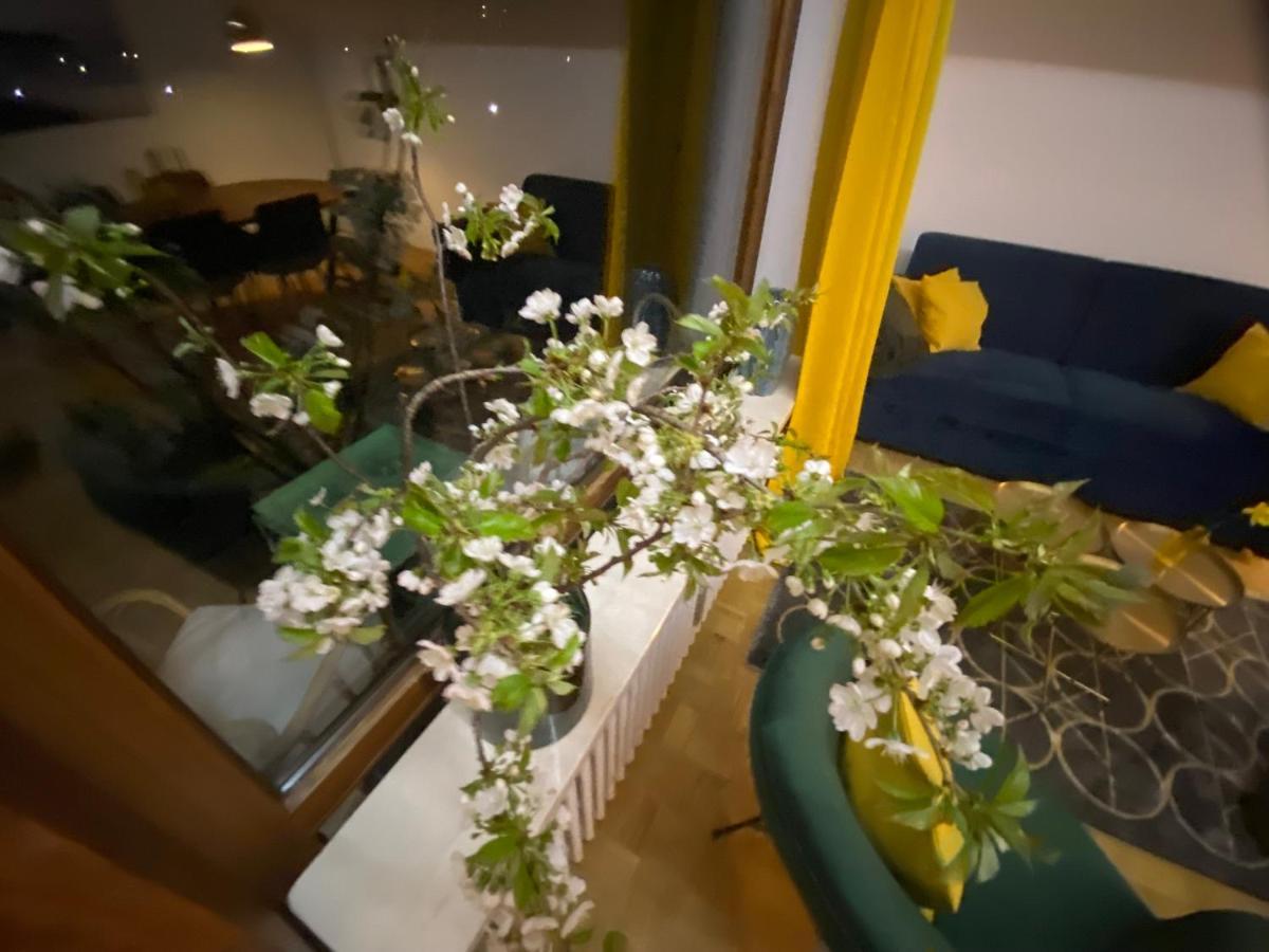 Ferienwohnung Panoramablick - Alpenmagie Suites 奥博奥多夫 外观 照片